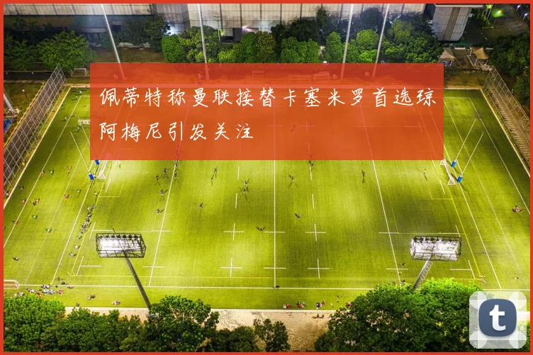 佩蒂特称曼联接替卡塞米罗首选琼阿梅尼引发关注