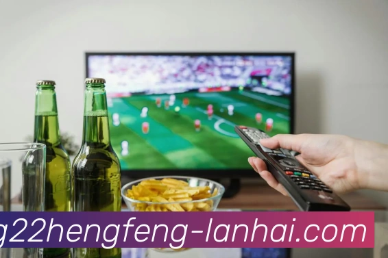 企业概况